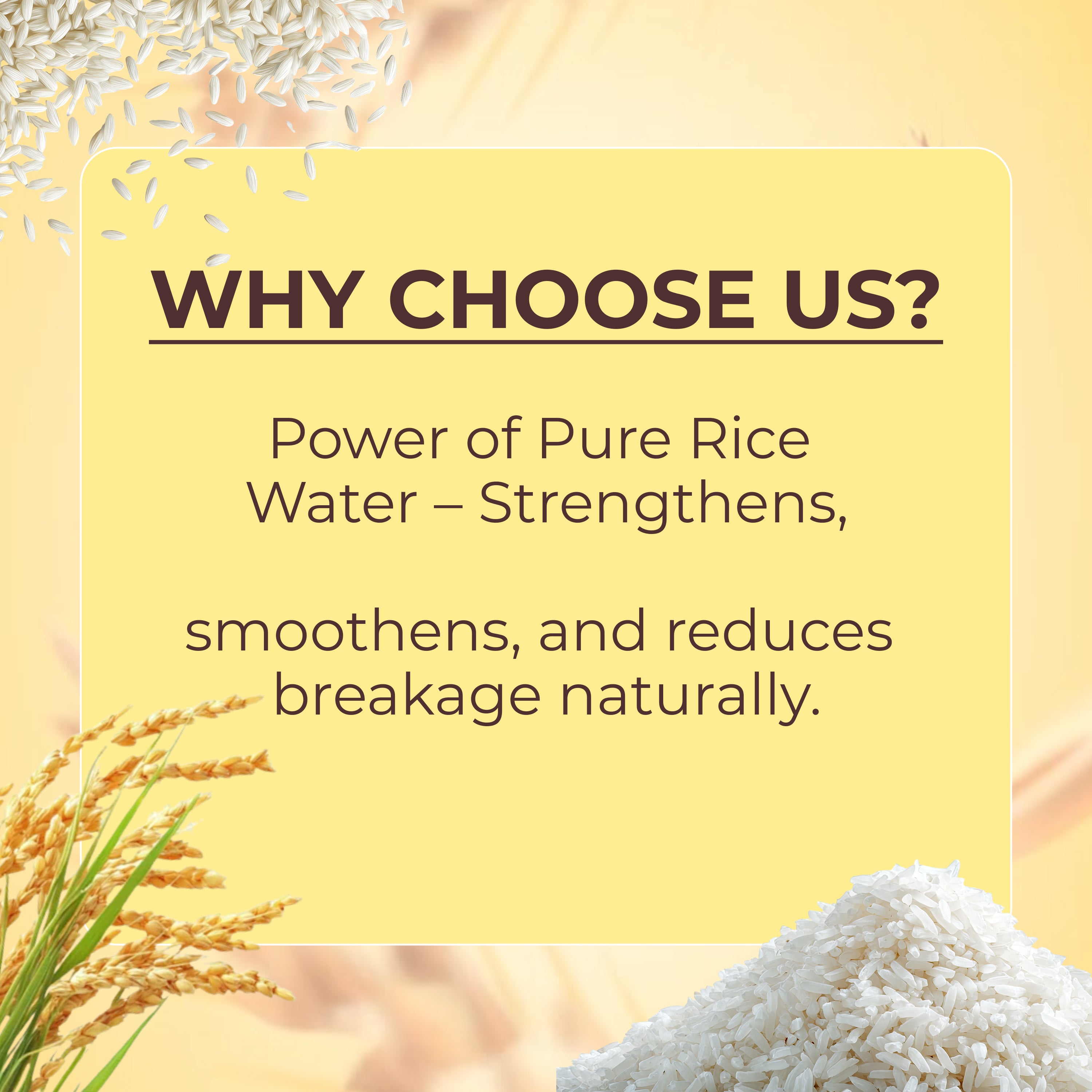 Loire Rice Water Conditioner for Smooth, Strong, and Frizz Free Hair – Deep Repair Conditioner