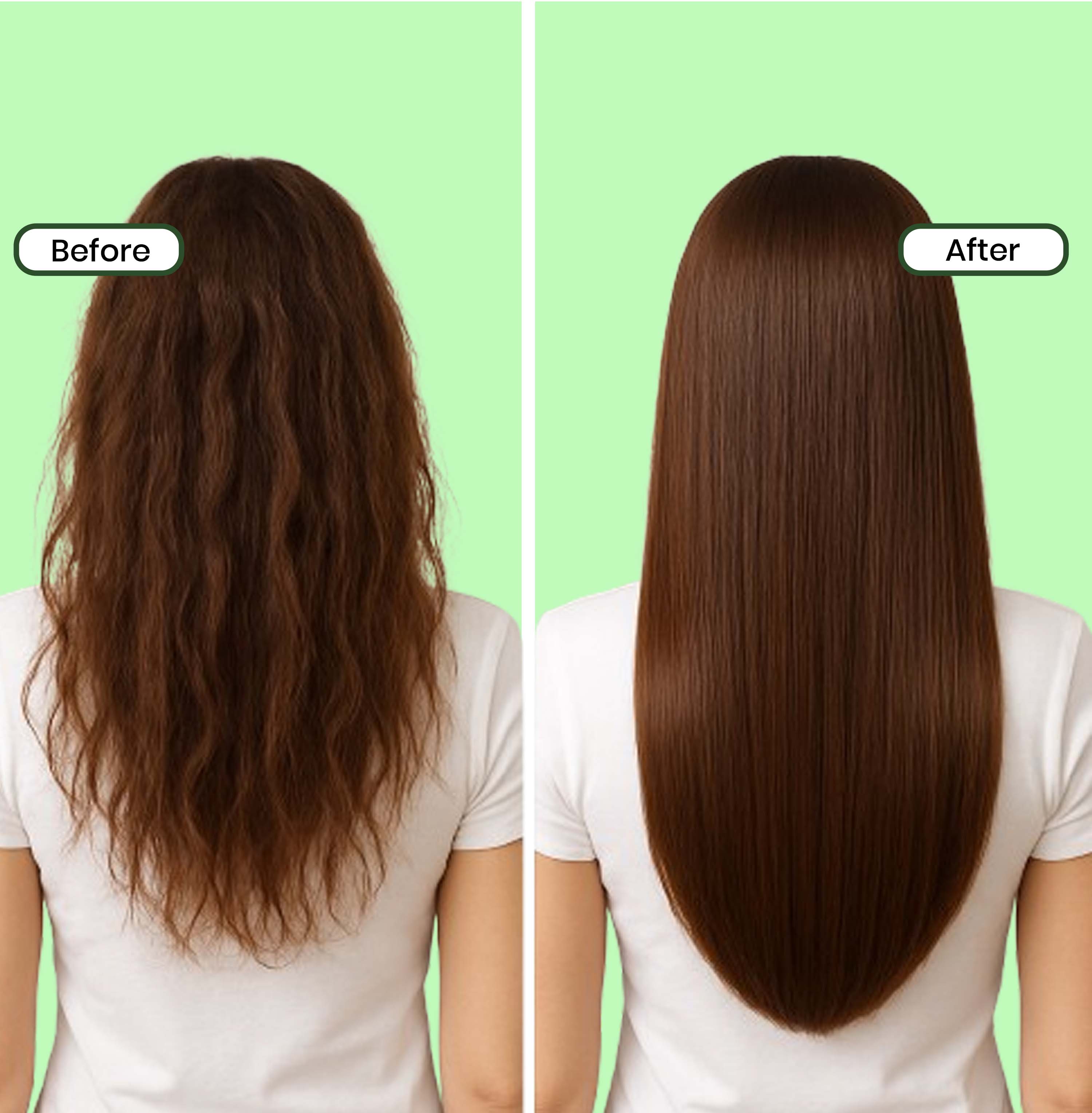 Loire Avocado Shampoo for Dry and Damaged Hair – Nourishing Sulfate Free Shampoo