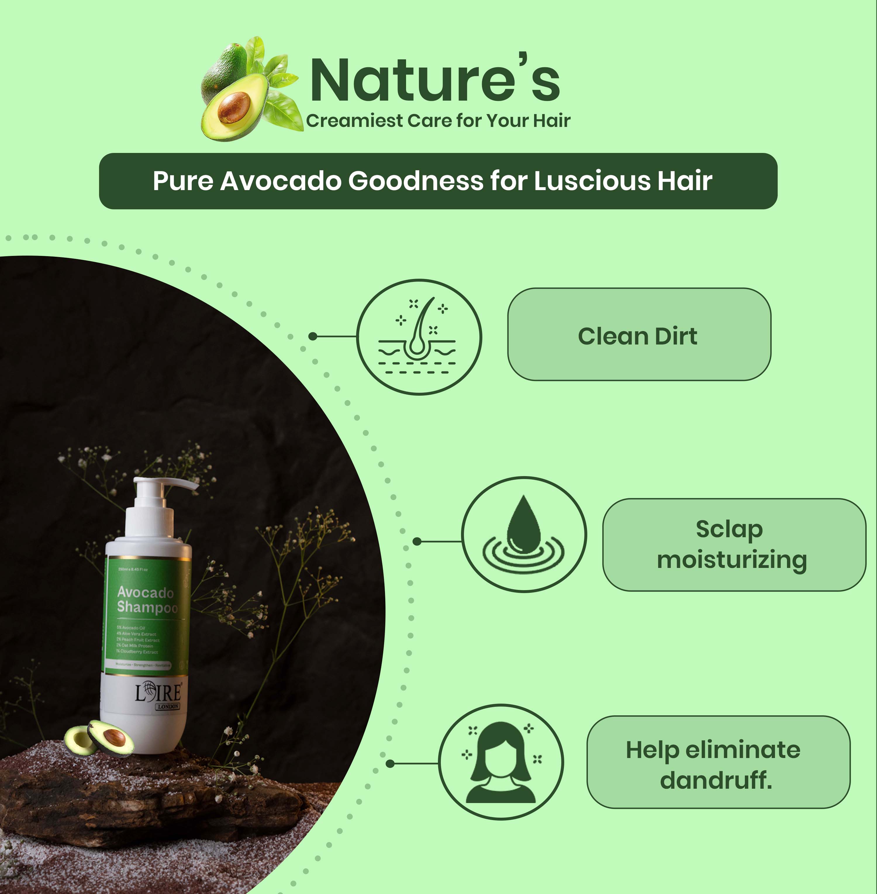 Loire Avocado Shampoo for Dry and Damaged Hair – Nourishing Sulfate Free Shampoo